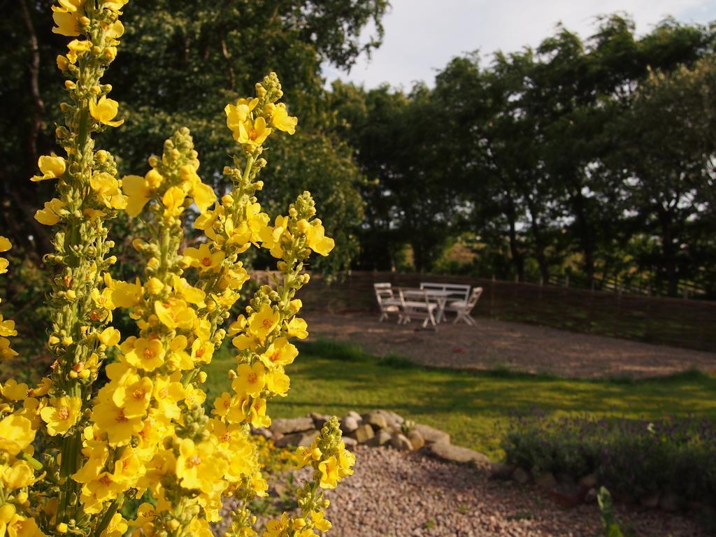 Augustas Bed & Breakfast Bed and Breakfast Falkenberg Buitenkant foto