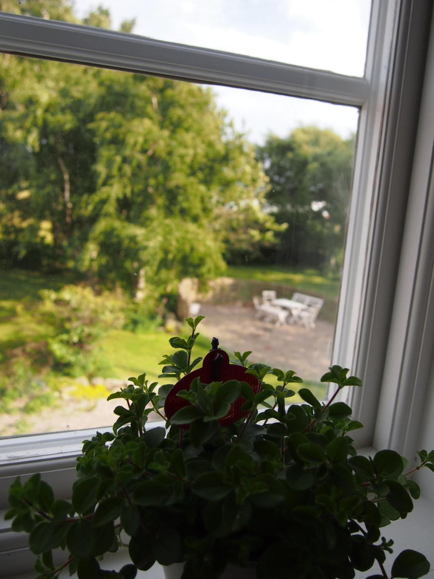 Augustas Bed & Breakfast Bed and Breakfast Falkenberg Kamer foto